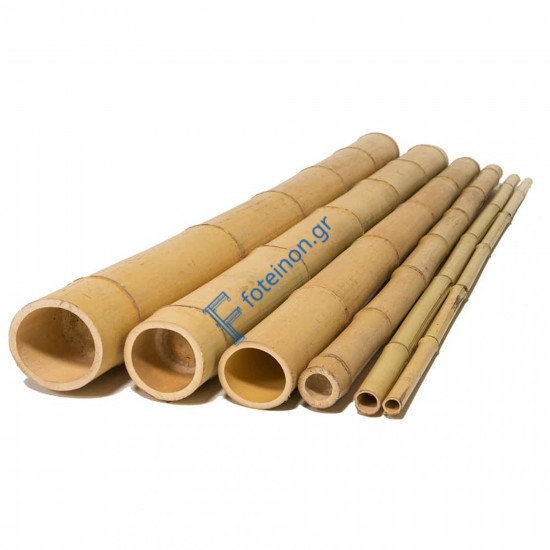 Καλάμι Bamboo Ø4-6 x 300εκ.