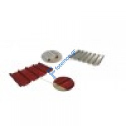 Τραπεζοειδείς