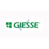 GIESSE