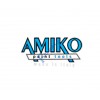 AMIKO PAINTS TOOLS