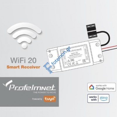 Δέκτης Wifi (WF-20) Profelmnet