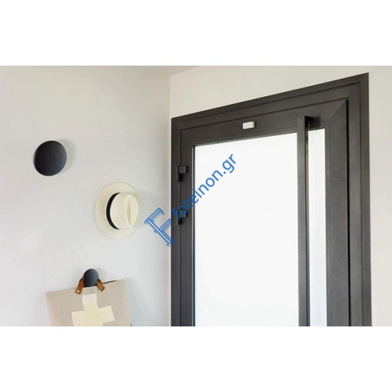 Ανιχνευτής Ανοίγματος IntelliTag Somfy 2401487